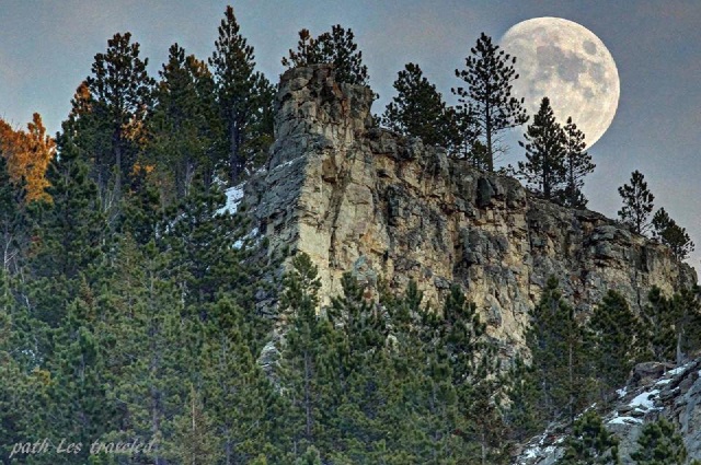 Spearfish Canyon-21.jpg